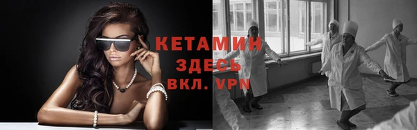 шишки Аркадак