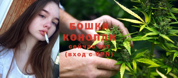 шишки Аркадак