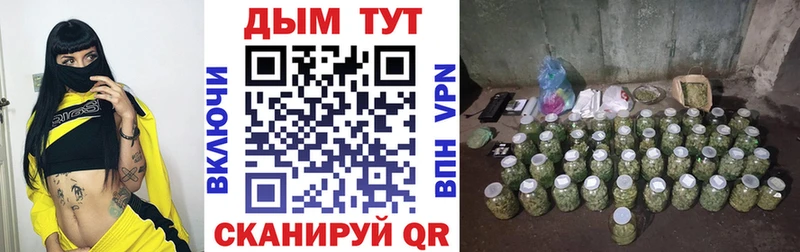 площадка Telegram Киреевск Конопля семена купить цена